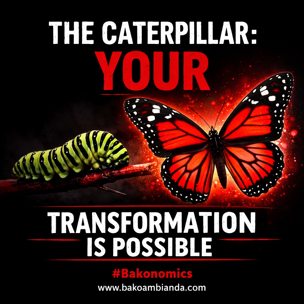 THE CATERPILLAR: YOUR TRANSFORMATION IS POSSIBLE