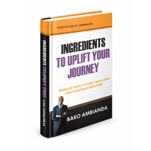 Ingredients To Uplift Your Journey:  Profound Stories to Keep Your Hopes Alive and Increase Your Productivity - Box Price [6]